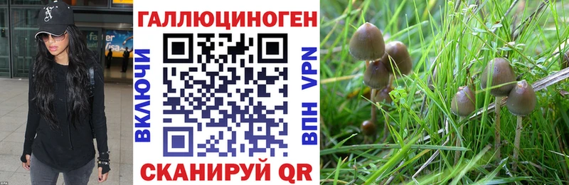 Псилоцибиновые грибы мухоморы  закладки  Качканар 